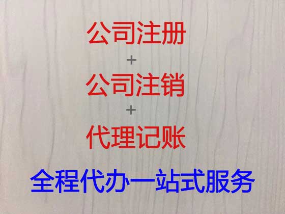 三亚代办公司营业执照